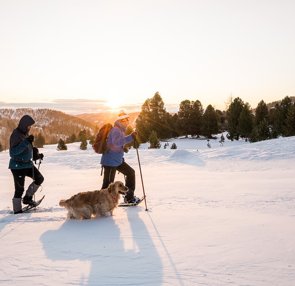 Schneeschuhwanderung mit Hund in Bad Kleinkircheim Schneeschuhwandern mit Hund in den Nockbergen in Kärnten
